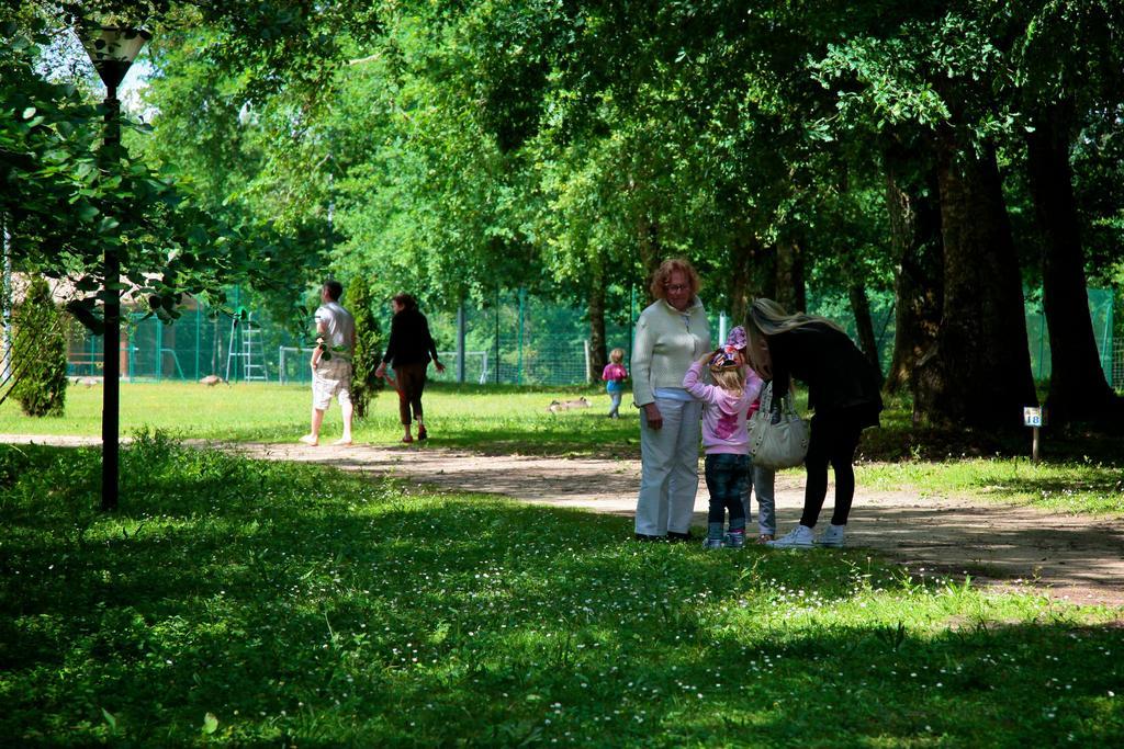 Domaine Du Roi Kysmar Ξενοδοχείο Villandraut Εξωτερικό φωτογραφία